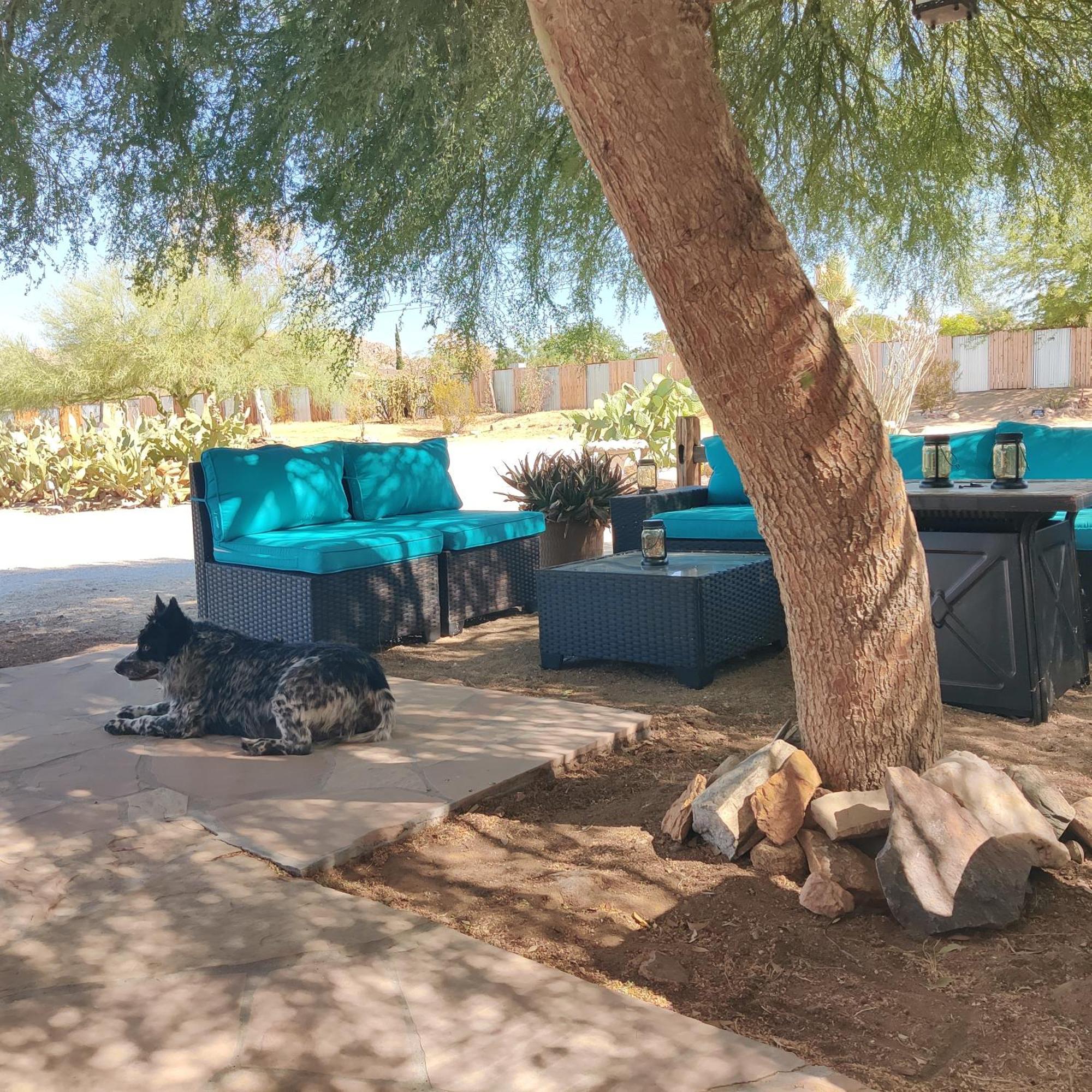 Joshua Tree Ranch House Motel - Downtown - Room #8 Eksteriør billede